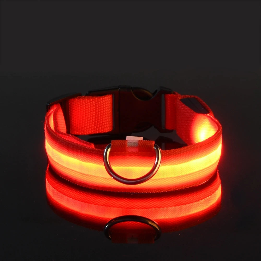 Night Glow Collar