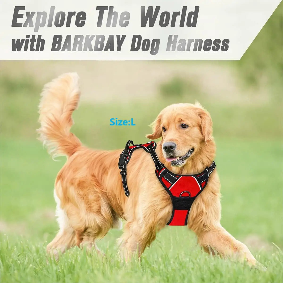 No-Pull Comfort Harness