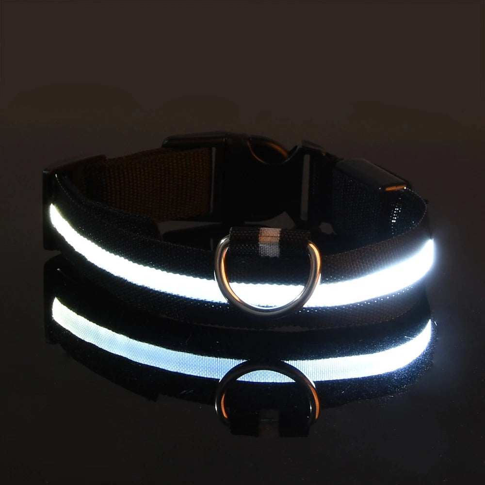 Night Glow Collar