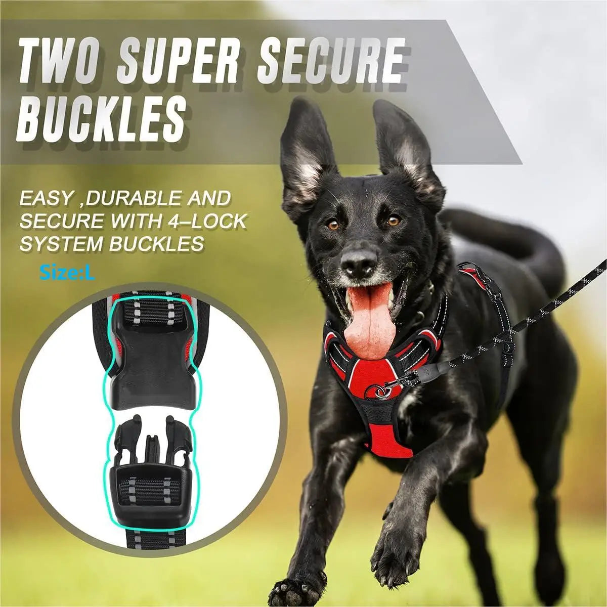 No-Pull Comfort Harness