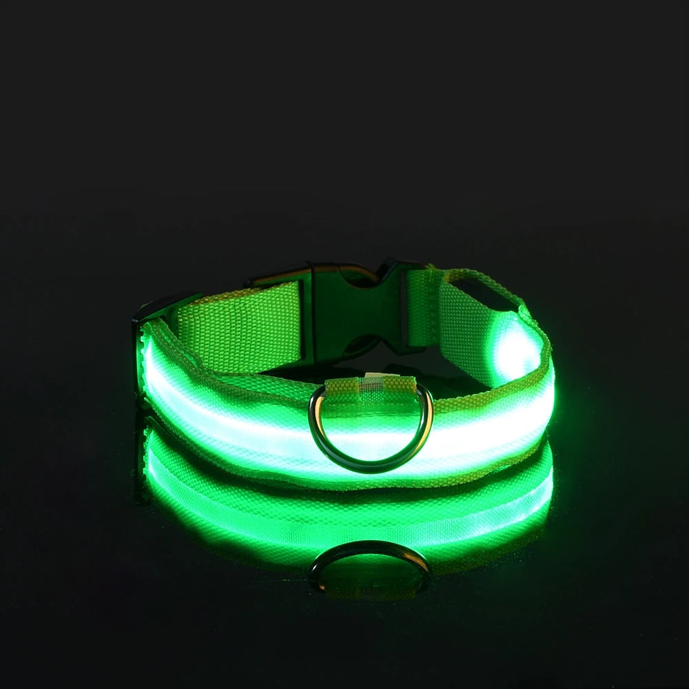 Night Glow Collar