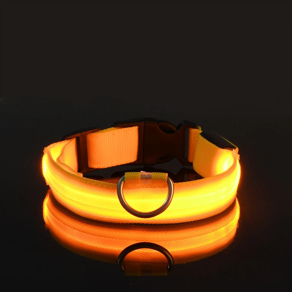 Night Glow Collar