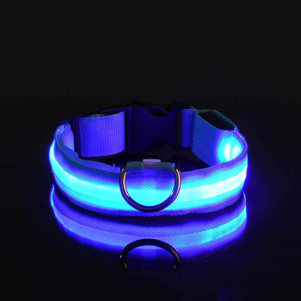 Night Glow Collar