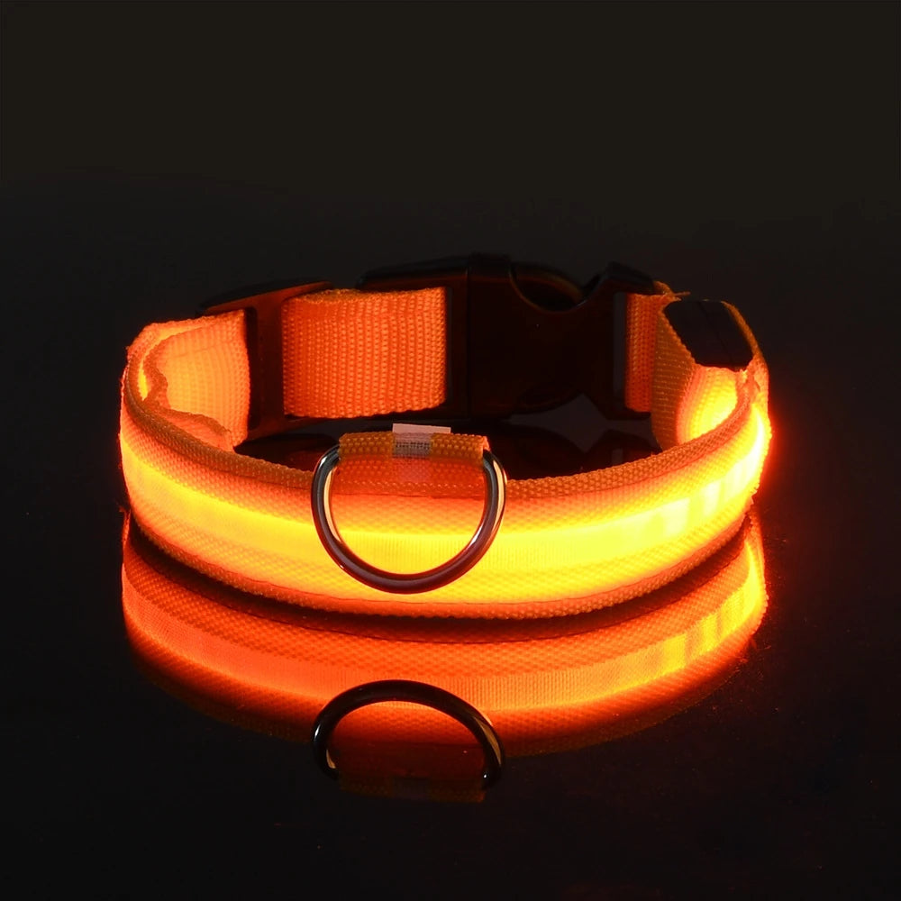 Night Glow Collar