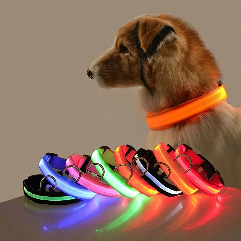 Night Glow Collar