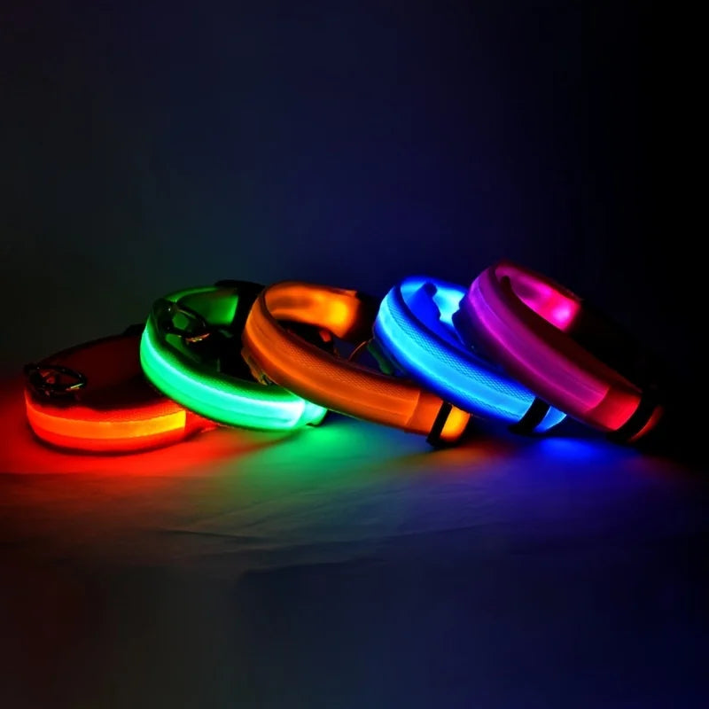 Night Glow Collar