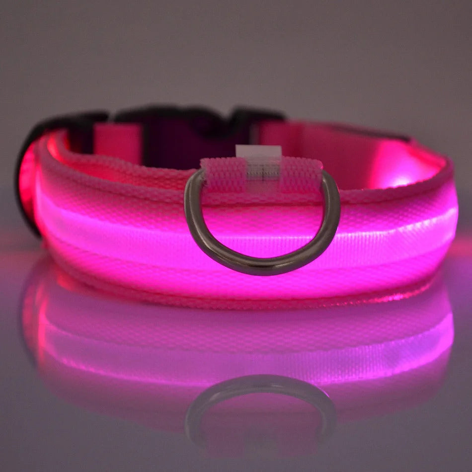 Night Glow Collar