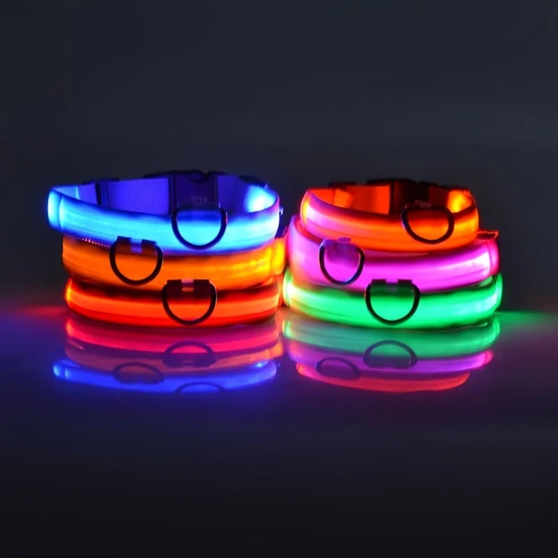 Night Glow Collar