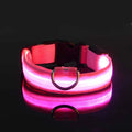Night Glow Collar