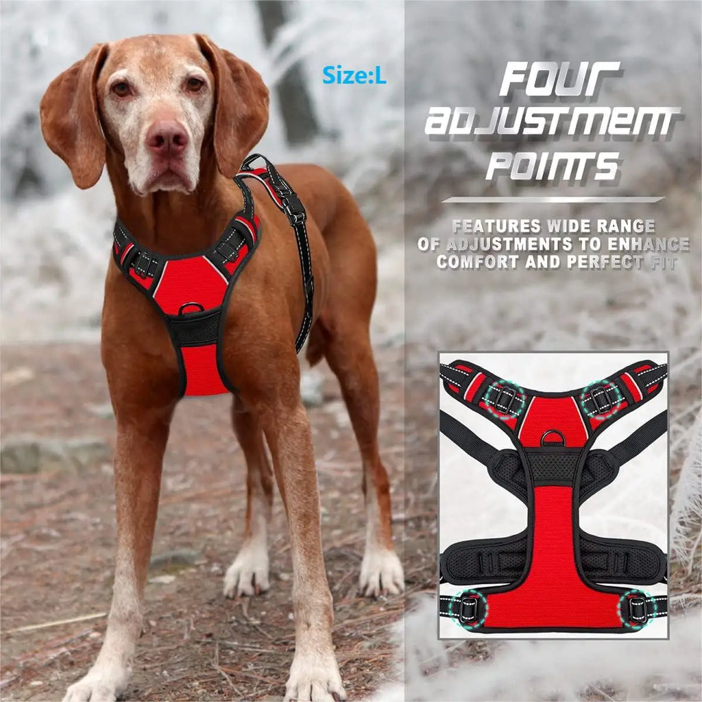 No-Pull Comfort Harness